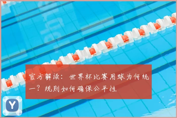 官方解读:世界杯比赛用球为何统一?规则如何确保公平性