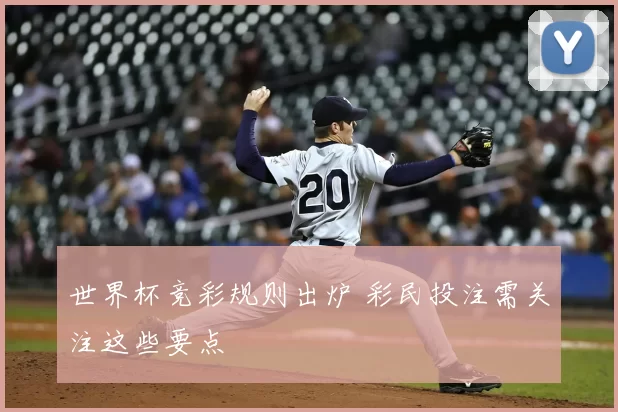 世界杯竞彩规则出炉 彩民投注需关注这些要点