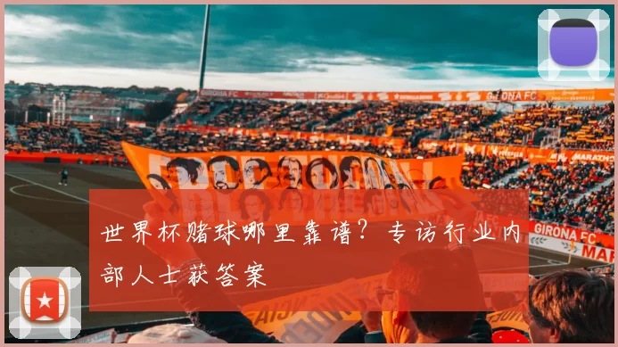 世界杯赌球哪里靠谱？专访行业内部人士获答案