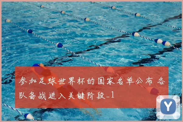 参加足球世界杯的国家名单公布 各队备战进入关键阶段_1