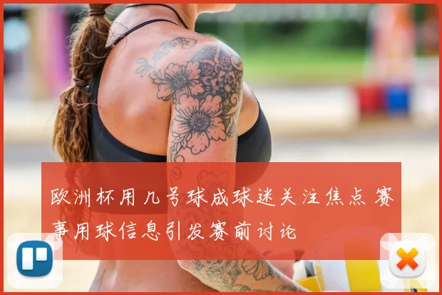 欧洲杯用几号球成球迷关注焦点 赛事用球信息引发赛前讨论