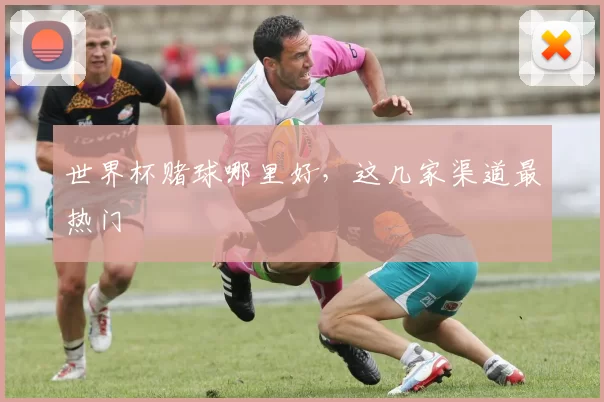 世界杯赌球哪里好,这几家渠道最热门