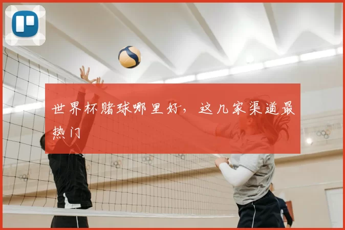 世界杯赌球哪里好,这几家渠道最热门