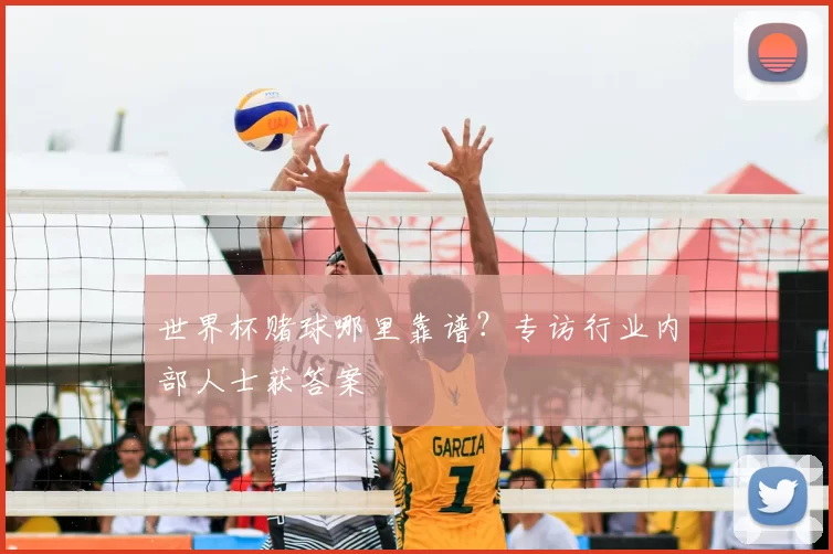 世界杯赌球哪里靠谱？专访行业内部人士获答案