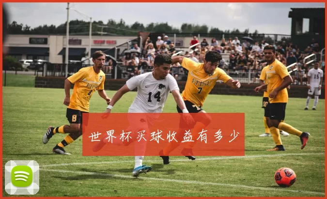 世界杯买球收益有多少