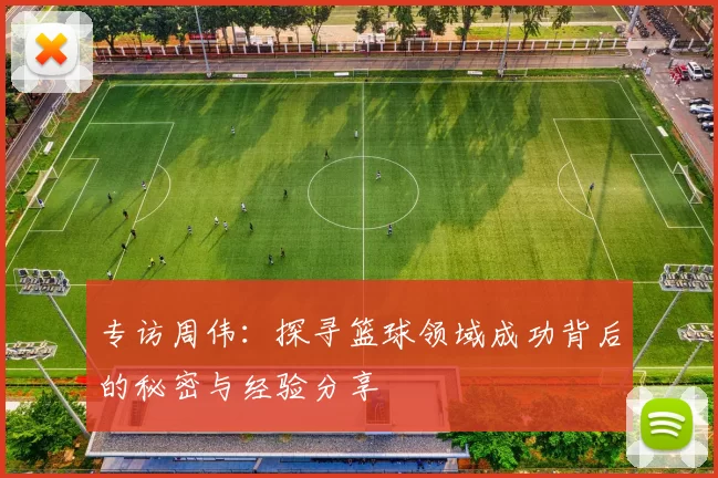 专访周伟：探寻篮球领域成功背后的秘密与经验分享