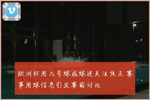 欧洲杯用几号球成球迷关注焦点 赛事用球信息引发赛前讨论