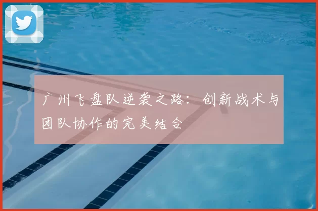 广州飞盘队逆袭之路:创新战术与团队协作的完美结合
