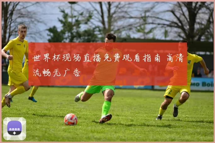 世界杯现场直播免费观看指南 高清流畅无广告