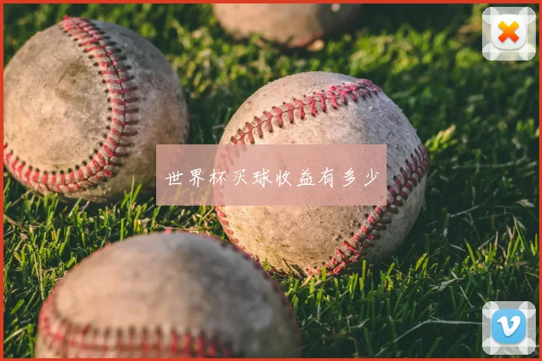 世界杯买球收益有多少
