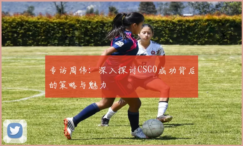 专访周伟:深入探讨CSGO成功背后的策略与魅力