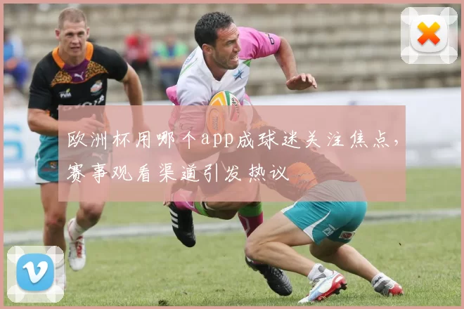 欧洲杯用哪个app成球迷关注焦点,赛事观看渠道引发热议